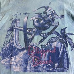 Vintage 90s Disney Blizzard Beach T-Shirt