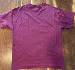 Harry Potter Gryffindor Quidditch Purple Graphic Print T-Shirt Men’s L