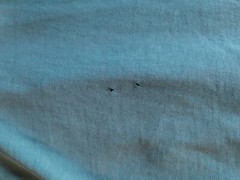 VTG 90s Barn Bum PHD in Muck-ology Country Western Cowboy Horse T Shirt L stable