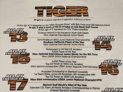 Vintage 90s Mens XL Tiger Woods Golf Single Stitch Graphic Print T-Shirt Nike