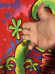 Vintage 90s Gecko Hawaii Graphic T Shirt Red Neon Lizard Logo Single Stitch XL
