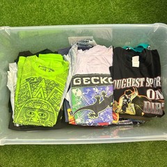 Vintage T Shirt Lot of 50 Mixed Single Stitched 80s 90s Y2K Bundle