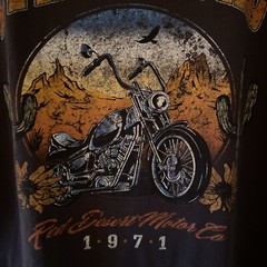 Hollister Shirt Med Adult Black Steel Road Red Desert Motor Biker Logo Mens M