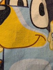 Bluey Family Graphic T-Shirt Men’s XL Blue Cotton Blend Short Sleeve Disney BBC