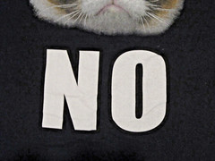 Grumpy Cat “NO” T-shirt ~ Black ~ Unisex Adult ~ Sz L ~ Chest 43 in