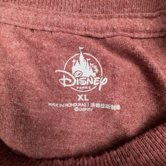The Lion King Disney Parks Mufasa Men’s XL Cotton Blend Short Sleeve T-Shirt