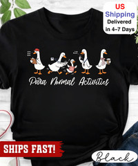 Paraprofessional Silly Goose Shirt, Para Normal Activities, SpEd RBT Teacher Aid