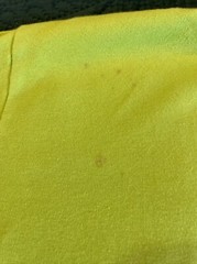 VINTAGE 90’S LIME GREEN SHIRT, HIGH NECK, SAN FRANCSICO CITY STREETS L