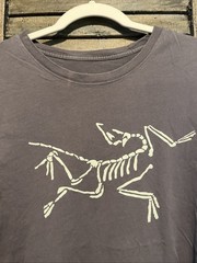 Arc’teryx Archaeopteryx Logo T-Shirt Blue Gray Cotton Blend Men Size L