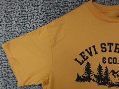 Levi’s Strauss Authentic Clothing Mountain Print Mens T-Shirt Yellow, Size Small