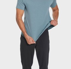 NWT Pair of Thieves Mens T Shirt Large 2pk Classic Athleisure Minimalist Tagless