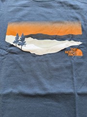 The North Face XL Blue Graphic T Shirt Outdoor Mountain Sunset Logo Tee Men NWOT