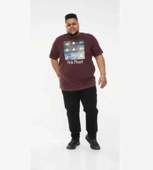 D555 Duke Big Mens Pink Floyd Printed T-Shirt Licensed Product 2XL-6XL (601621)