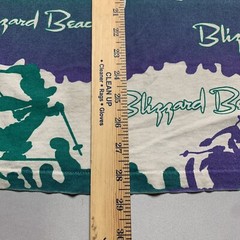 disney blizzard beach Vintage Shirt