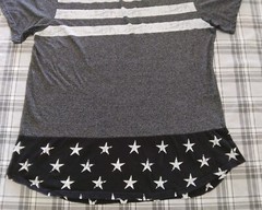 CSG Champs Sports Gear Mens Short Sleeve T-Shirt Round Hem Stars Stripes Sz 2XL