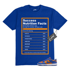 Dunk Knicks Team Royal Blue Orange Low Bright Ceramic T Shirt to Match SUCCESS