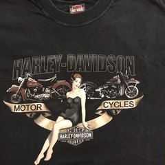 Harley Davidson Motorcycles T Shirt Men’s 2XL Pinup Girl Short Sleeve Distessed
