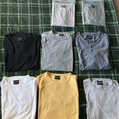 Cuts T-Shirt Lot Multicolor Curve-Hem & Split-Hem XL/L Sizes