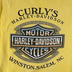Vintage Harley Davidson Shirt Mens XL Yellow Work Sucks Lets Ride Curlys NC Y2K