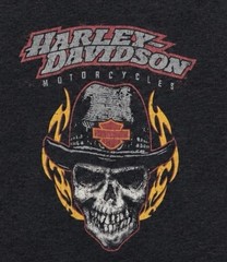 Harley Davidson T-Shirt Cowboy Skull Flames Men’s Large Biker Illinois