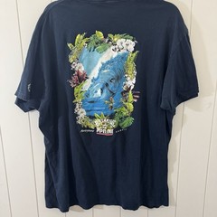 Billabong Pro Pipeline Hawaii T Shirt Men’s Large Blue Graphic Surf Tee