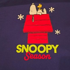 Peanuts Sleepshirt Men’s Snoopy & Woodstock Navy Blue Long Sleeves XL-46-48