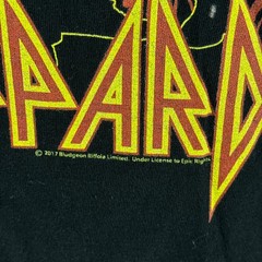 Def Leppard Band Graphic T Shirt Mens 4XL Black Rock Music Concert Logo Gildan