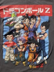 Dragon Ball Z Adult Toei Animation Grey Short Sleeve Graphic T-Shirt (Small)