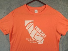 Gildan Softsytle T-Shirt Orange Volleyball FORZA1 California Graphics Size Large