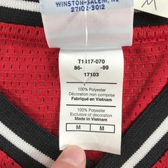 Vintage Champion Shirt Mens Medium Red Mesh V-Neck Short Sleeve Athletic Jersey