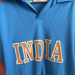 Vintage India Cricket Jersey RSE Sportswear Size 40 Blue Spellout Polo Shirt