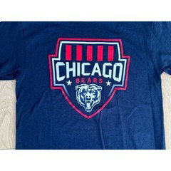 Chicago Bears NFL Team Apparel Young Mens Navy Blue T-Shirt Football Size Medium