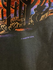 Vintage 90s Nature AOP Shirt Arizona Desert XL Black Sunset Single Stitch Tee