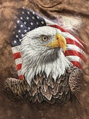 The Mountain Mens 2XL Bald Eagle American Flag Tie Dye T-Shirt Skagway Alaska