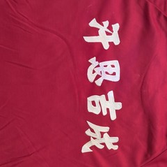 Vintage Taiwan Chinese Character T-Shirt Large Red Cultural Graphic Tee