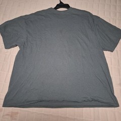 Delta Pro Weight T-Shirt Mens 3XL Covfefe Est 2017 Graphic Short Sleeve Gray