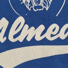 Vintage 80s Almenda Bobcat Shirt L/XL 21×25 Blue Elementary