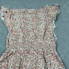 No Comment Dress Womens XL Floral Lace Trim V-Neck Flutter Sleeve Mini Skater