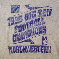 VTG 1995 Big Ten Football Champions Northwestern University T Shirt Gray XL S.S.