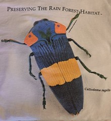 Vtg 90s Rainforest T Shirt M Jewel Beetle Single Stitch Unisex Double Sided