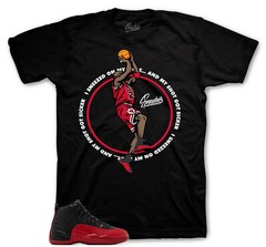 Shirt To Match Jordan 12 Flu Game Shoes – Sneezed Tees