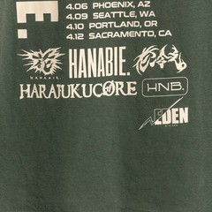 Hanabie Japanese Metal Band Concert Music T Shirt Size Medium Measures 20×28