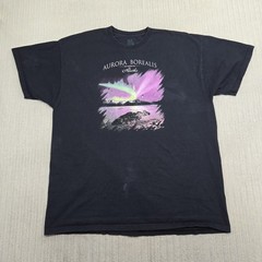 Aurora Borealis Alaska Shirt Mens 2XL Black Northern Lights Fruit of the Loom