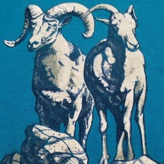 Vtg Yosemite Bighorn Sheep T Shirt Single Stitch Tee Large 42-44 Turquoise USA