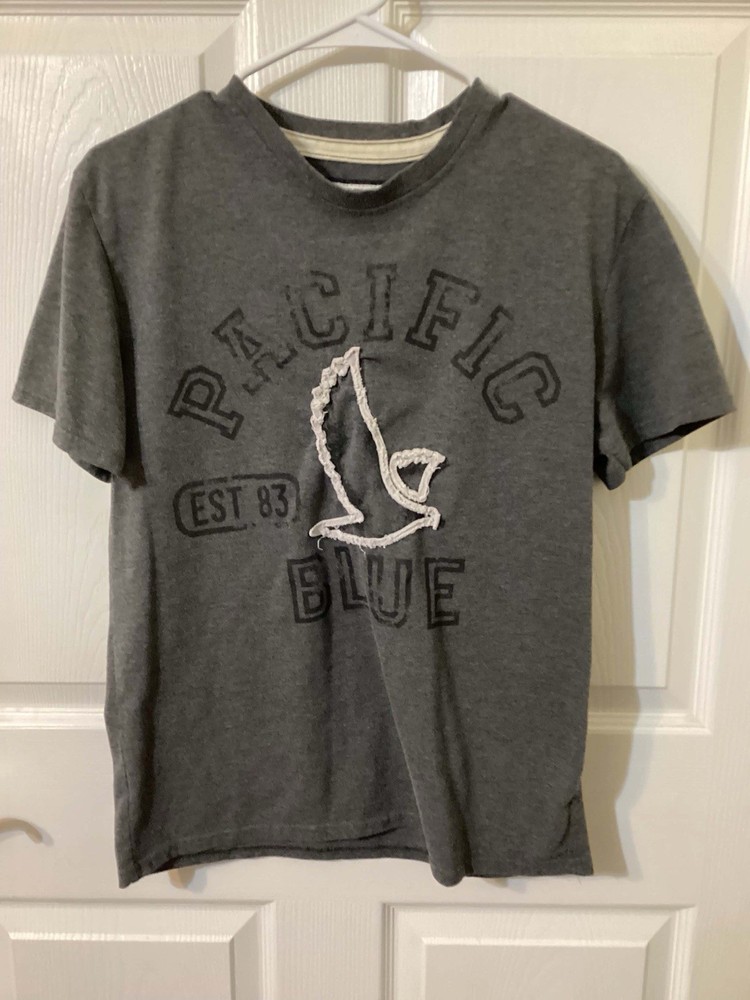 Pacific Blue Y2K Gray Graphic T-shirt With Embroidered Eagle Size Small