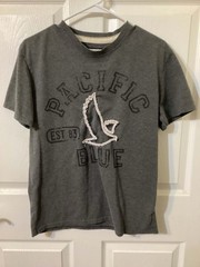 Pacific Blue Y2K Gray Graphic T-shirt With Embroidered Eagle Size Small