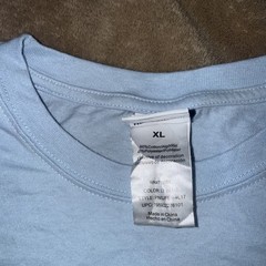 Peanuts Snoopy Woodstock Embroidered Graphic T-Shirt Light Blue XL
