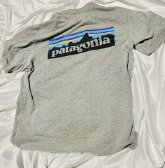 Patagonia Cotton Logo T-Shirt Gray ( Small