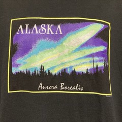 Vintage 1990 Alaska Northern Lights Aurora Borealis Men’s XL T-Shirt ’90s Tee