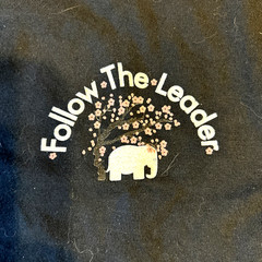FTL FOLLOW THE LEADER BMX T Shirt M Skate Extreme Sports New York City USA